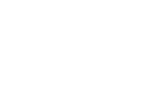 Dave-Snyder2-white-low-res